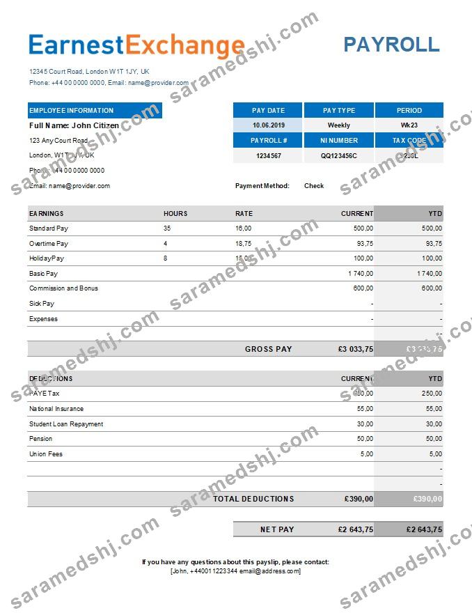 currency exchange company payroll template in Excel and PDF formats